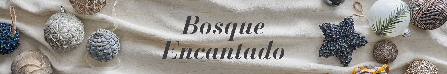 Bosque Encantado Bosque Encantado