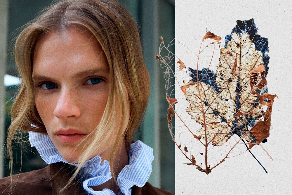 Cómo evitar la caída capilar en otoño Cómo evitar la caída capilar en otoño