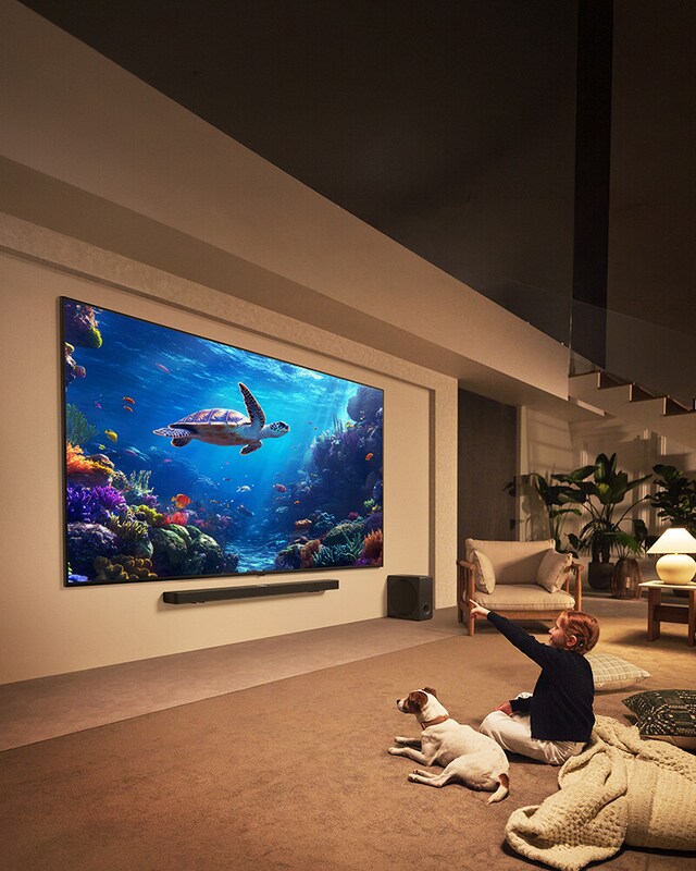 Ofertas de televisores Ofertas de televisores