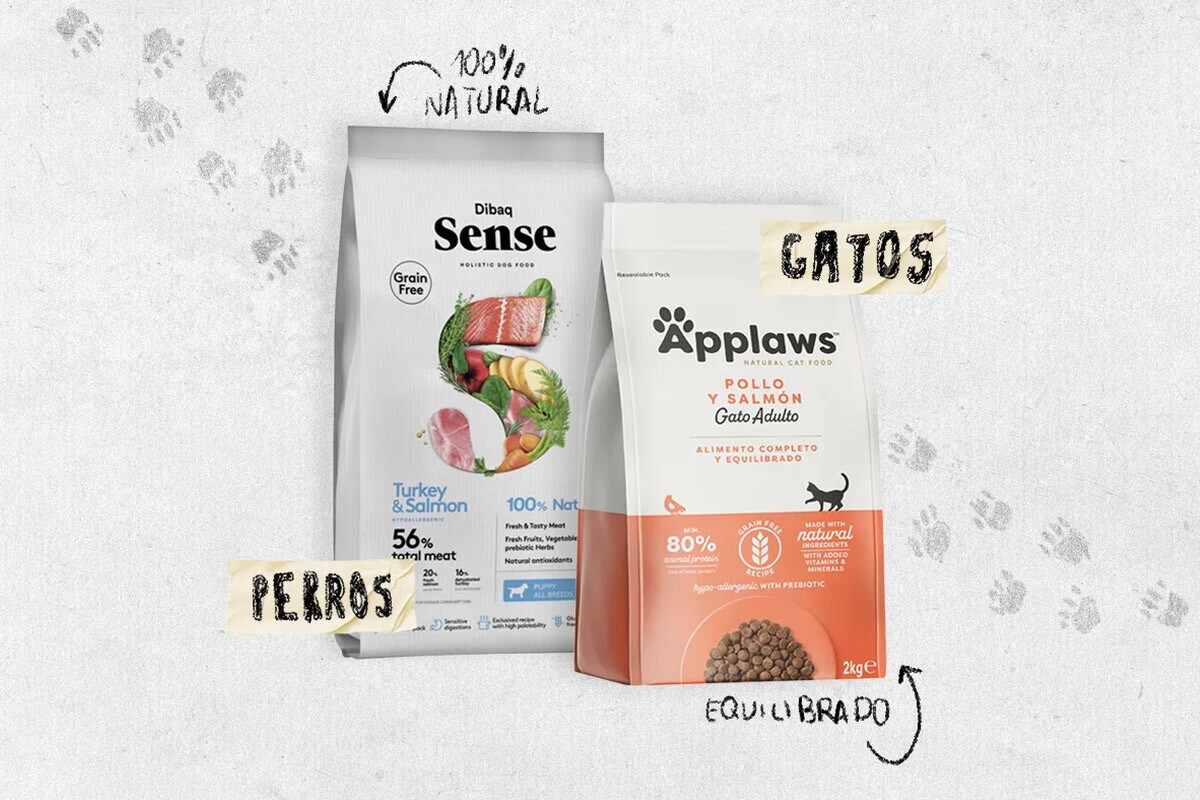 Comida proteíaca Comida proteíaca