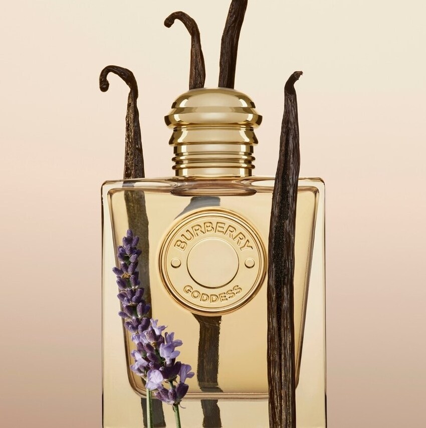 Fragrâncias gourmand Fragrâncias gourmand