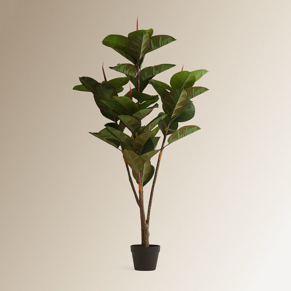 Flores y plantas hasta -30% Flores y plantas hasta -30%