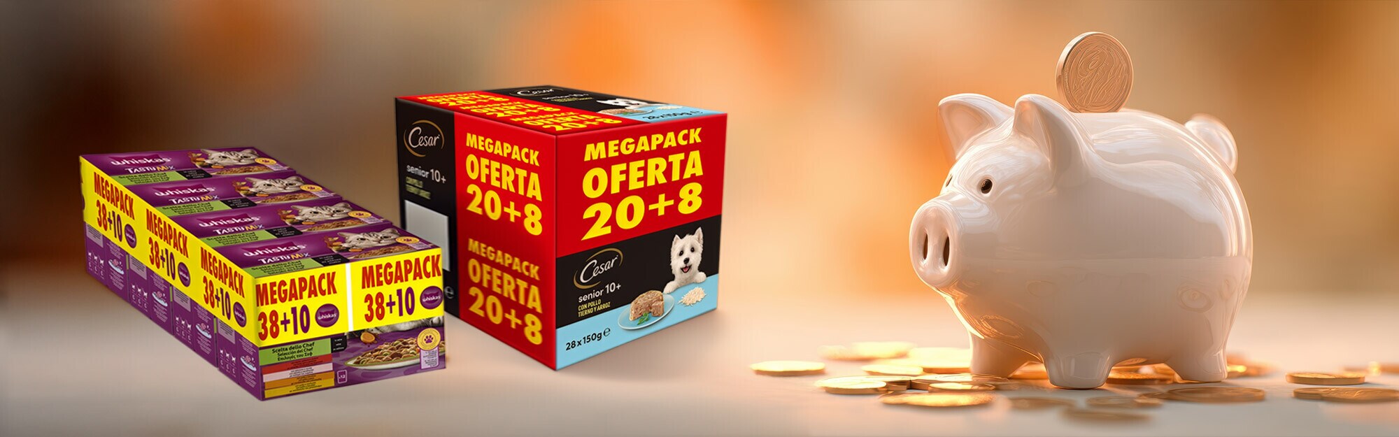 Alimentación húmeda XXL Alimentación húmeda XXL