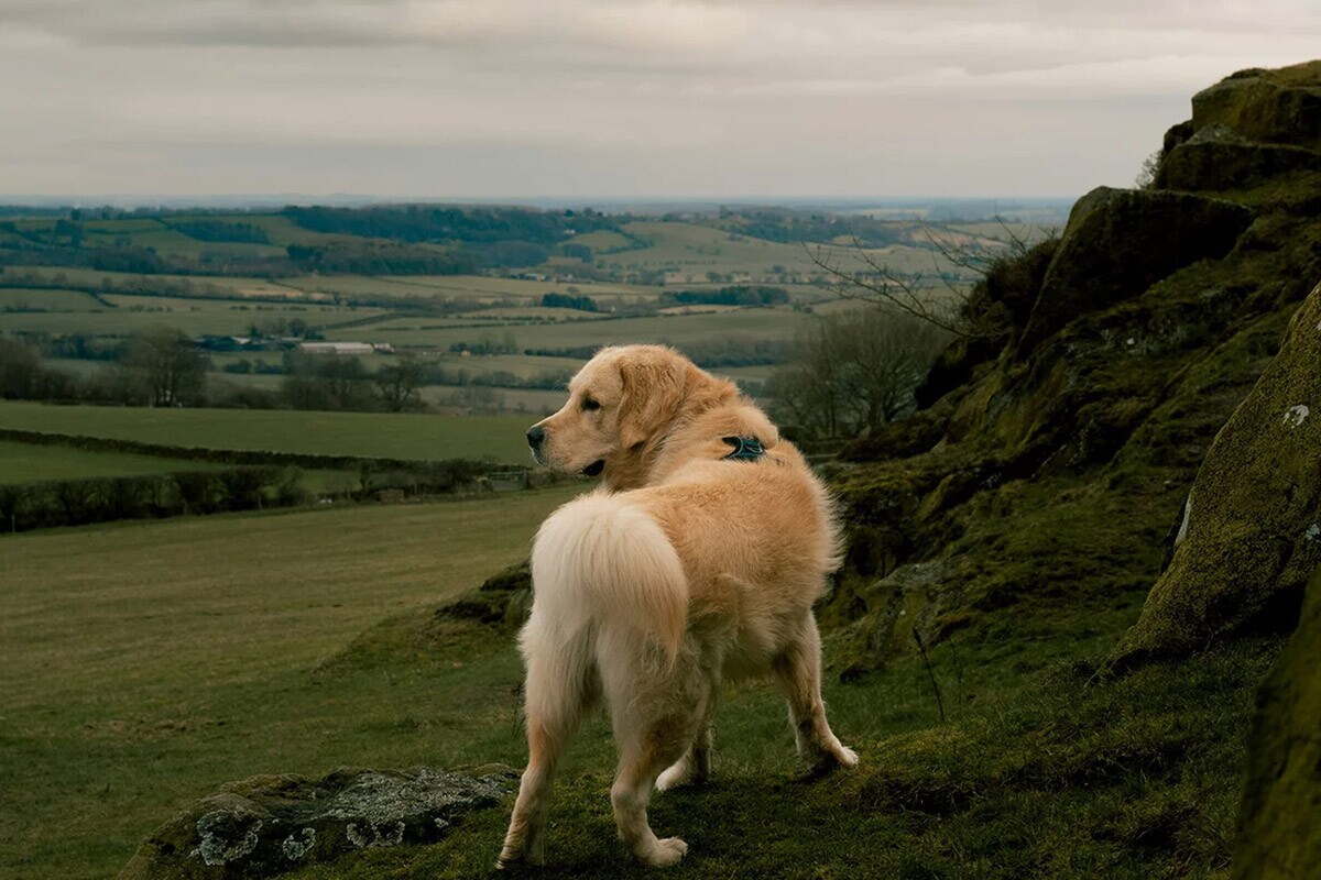 Día de excursión Día de excursión