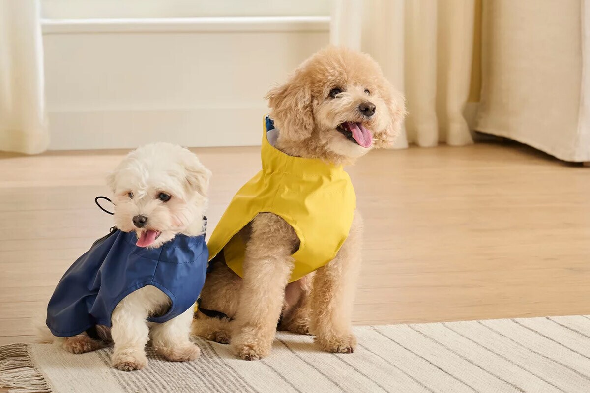 Los mejores abrigos Los mejores abrigos