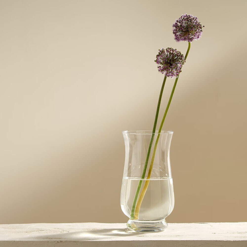 Jarrones y macetas hasta -40% Jarrones y macetas hasta -40%