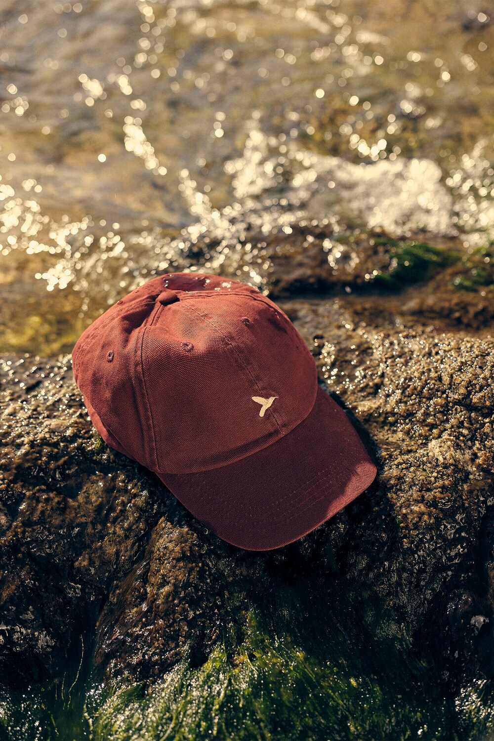 Lloyds homem Lloyds homem