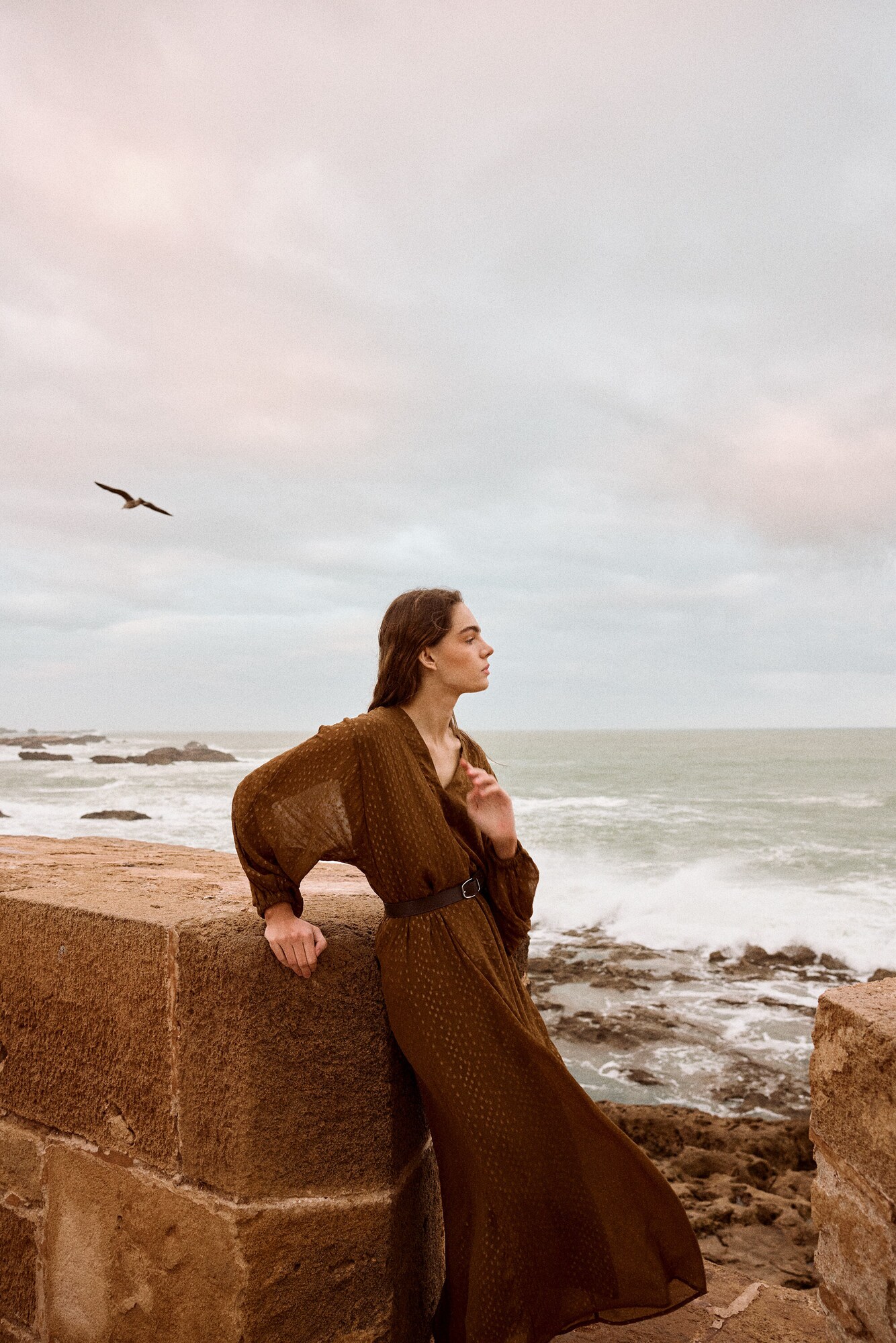 Stella Rittwagen Stella Rittwagen