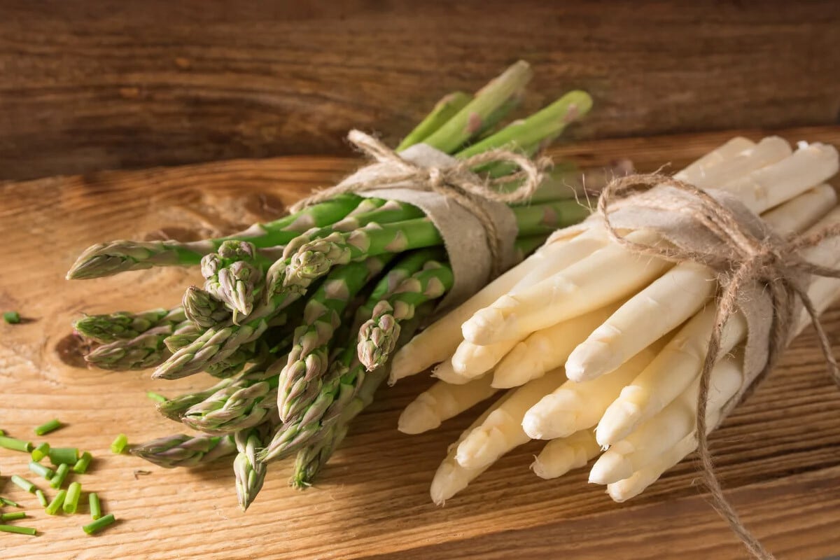 hortalizas de primavera hortalizas de primavera