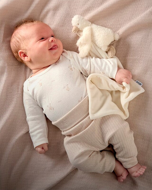 Green Coast Moda homem Green Coast Moda homem