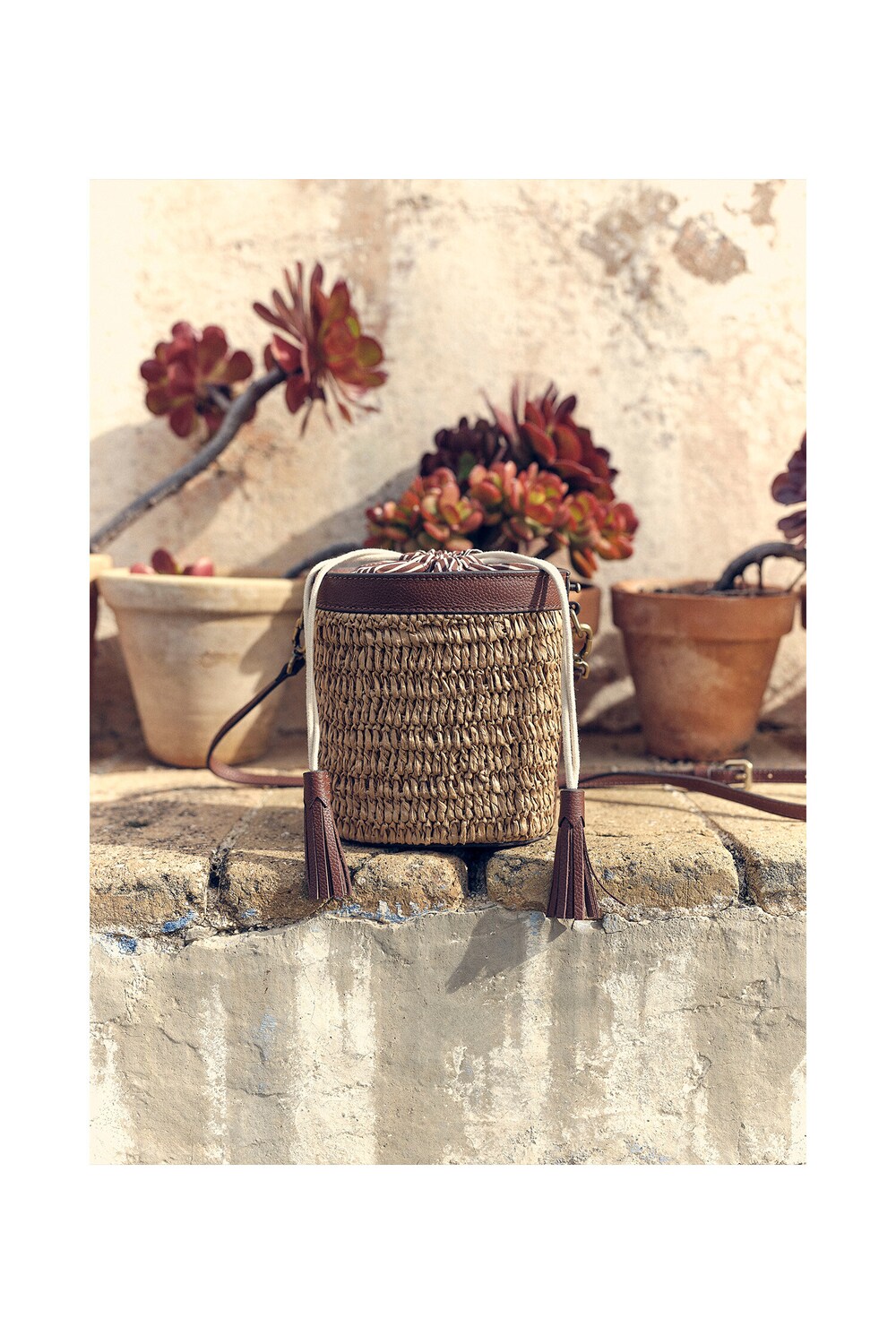 Lloyds mullher Lloyds mullher