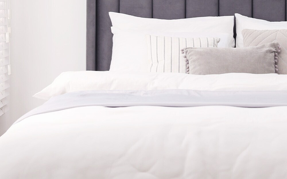 Don Algodón Don Algodón