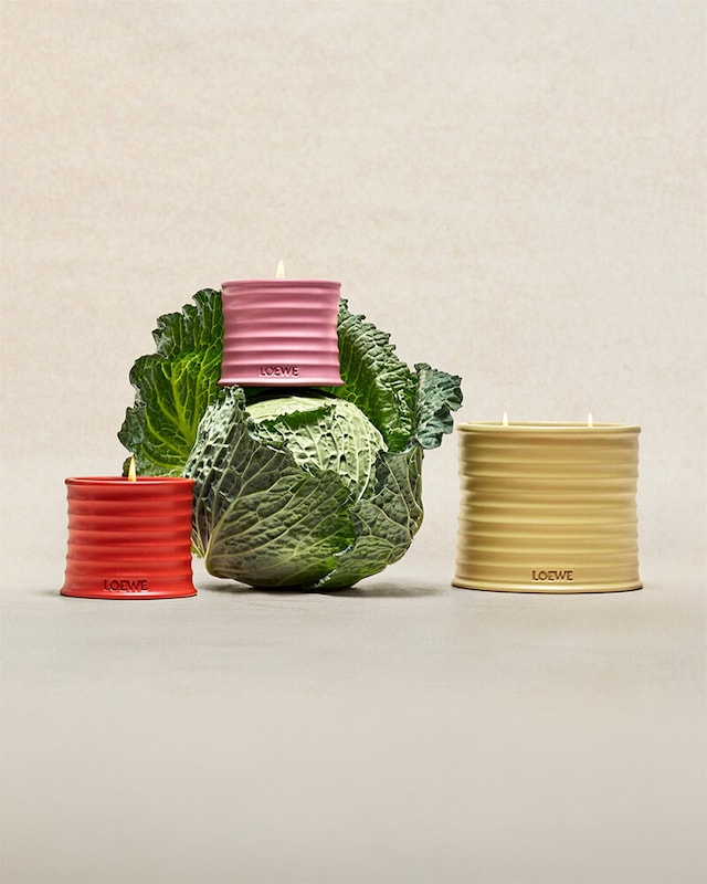 Fragrâncias de casa Fragrâncias de casa