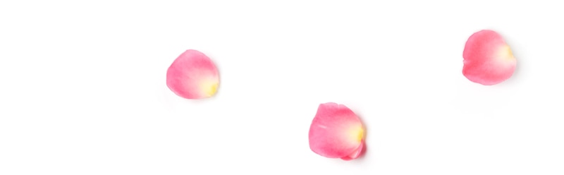 H_Contenido_Feb_CenasRomanticas_petalos_dibIzq