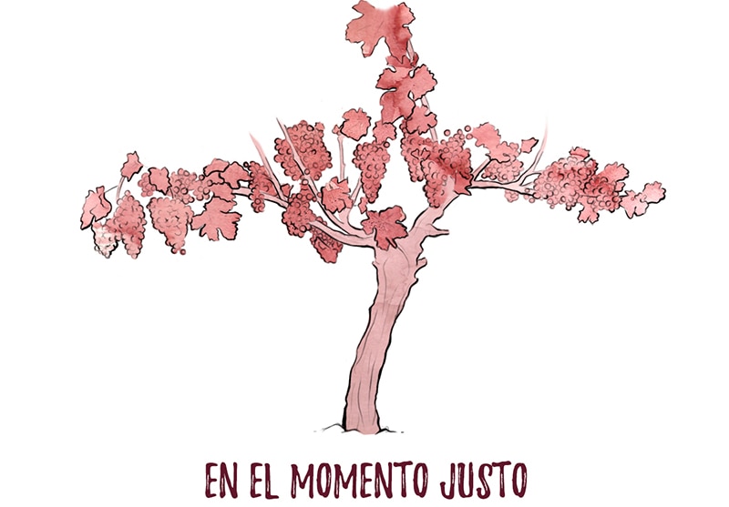 En el momento justo - Vendimia