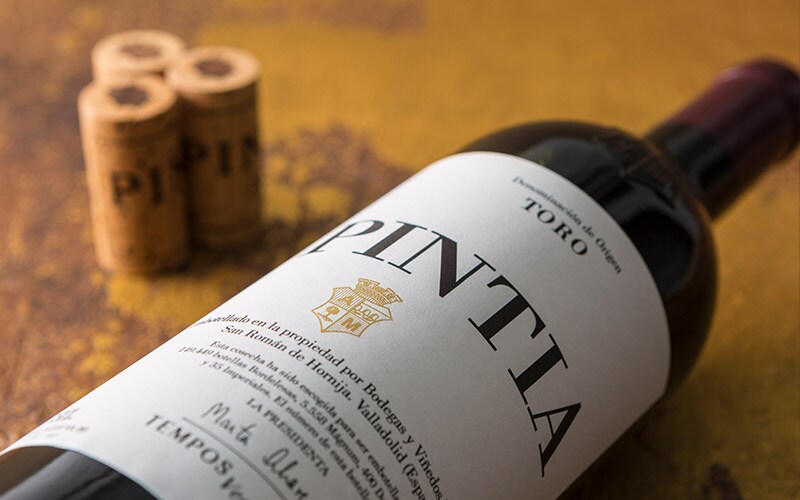 Pintia