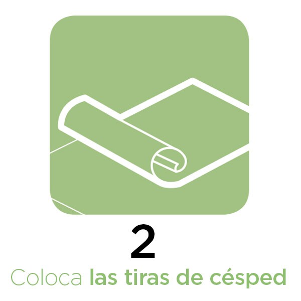 Guía rápida Césped