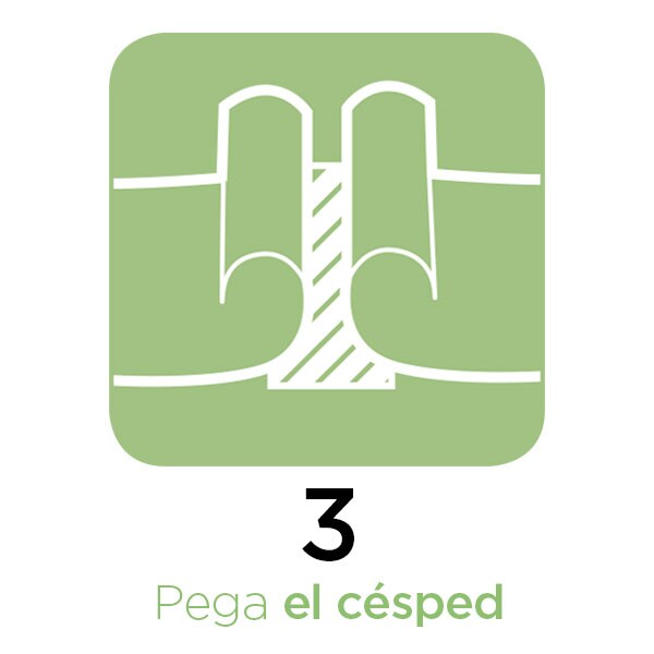 Guía rápida Césped