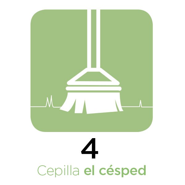 Guía rápida Césped