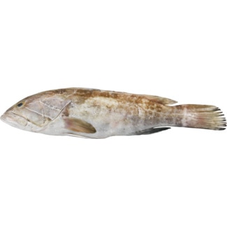 Garoupa Peso Aproximado por unidade 2,5 kg