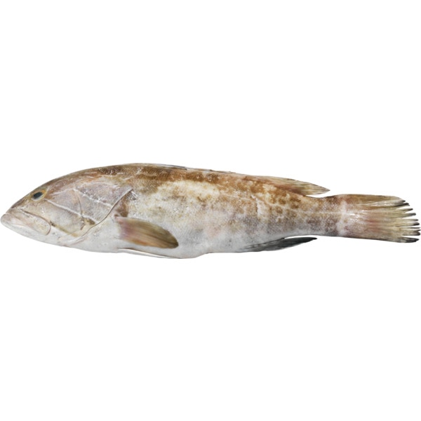 Garoupa Peso Aproximado por unidade 2,5 kg