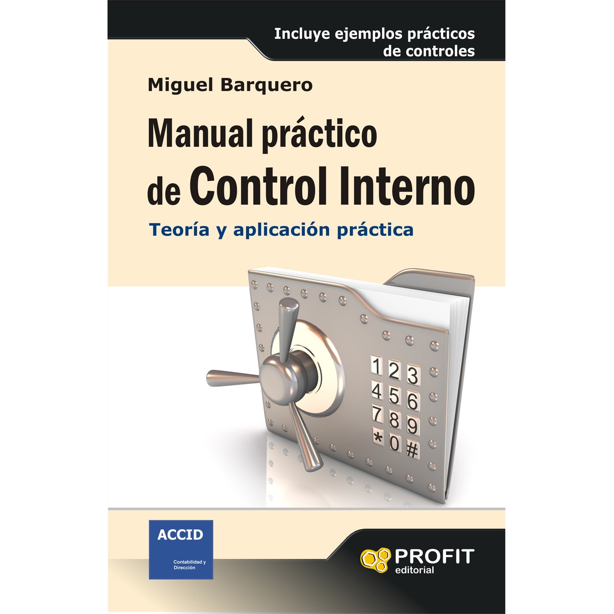 Manual Práctico De Control Interno 1