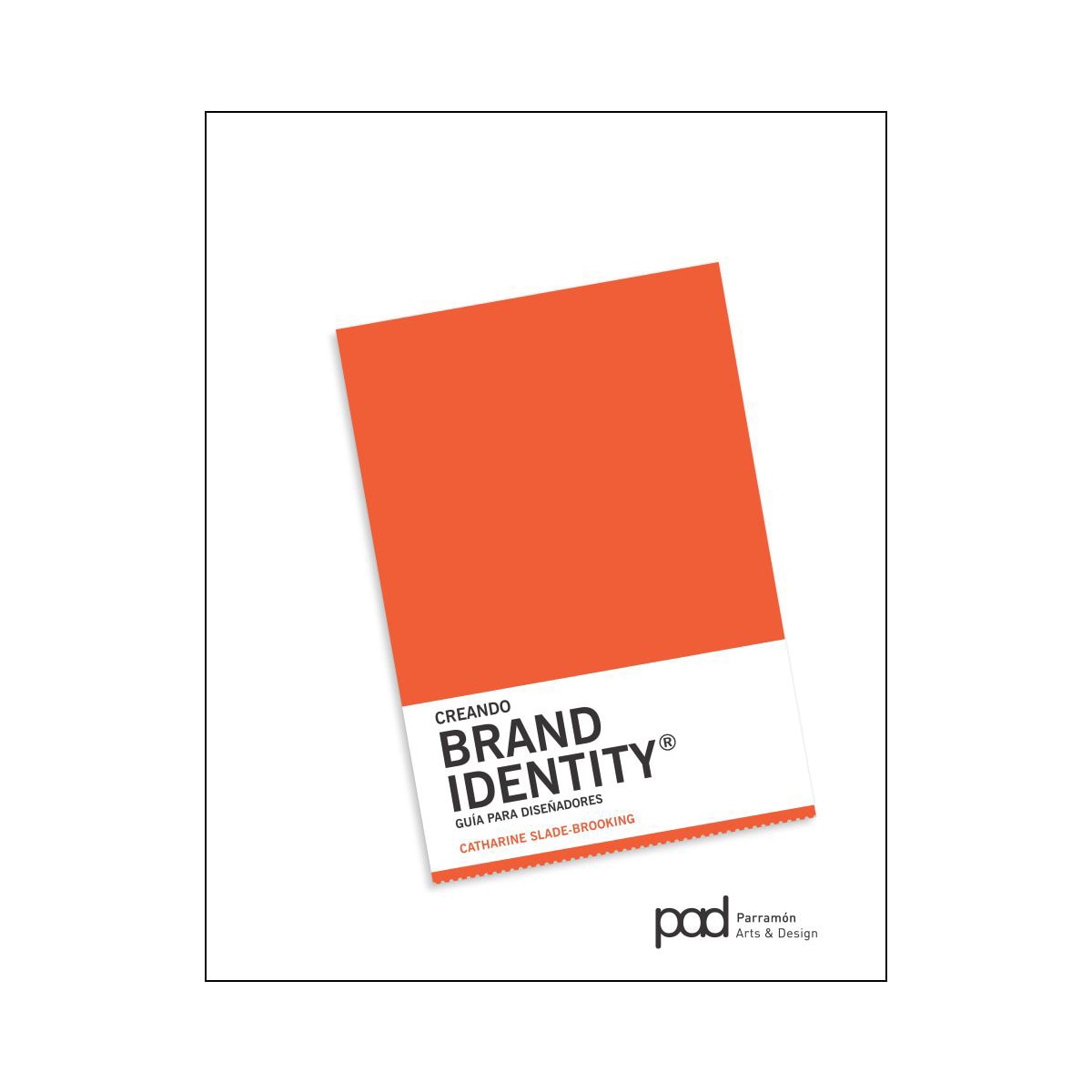 Creando Brand Identity (Capa mole) 1