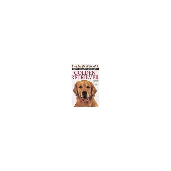 Golden Retriever 1