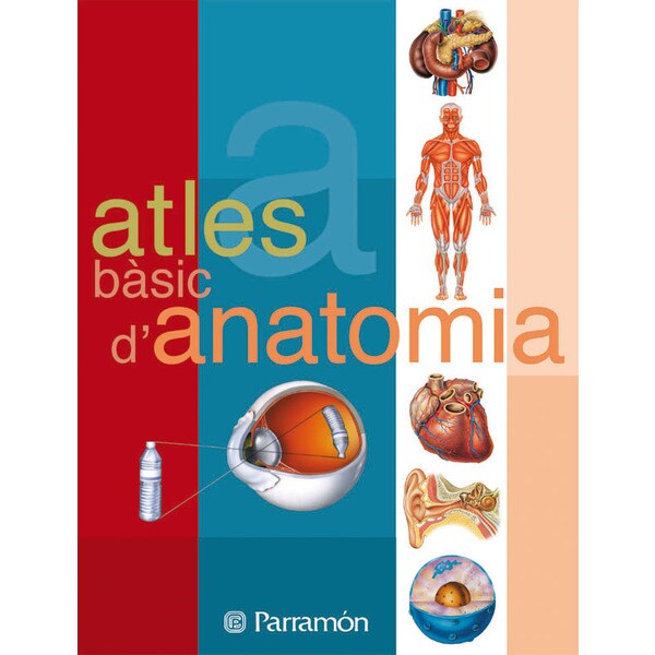 Atles bàsic d'Anatomia (Capa mole) 1