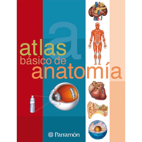 Atlas básico de anatomía(Tapa blanda) 1