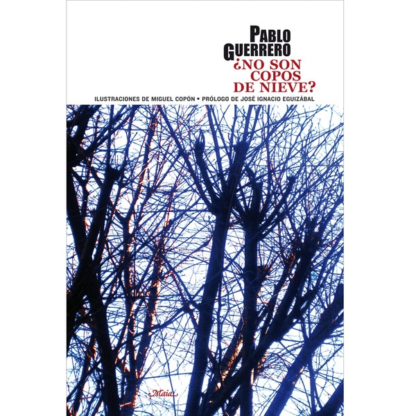 Imagen 0 de No son copos de nieve (Tapa blanda)