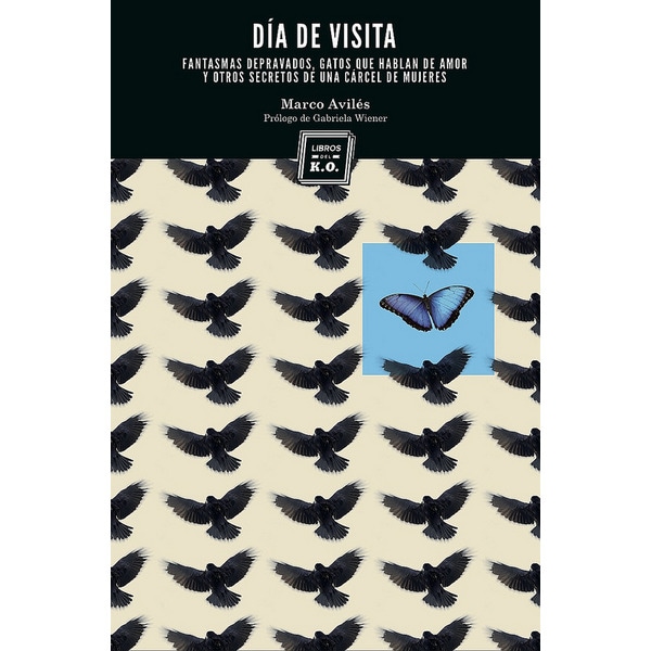 Imagen 0 de Día de visita (Tapa blanda)