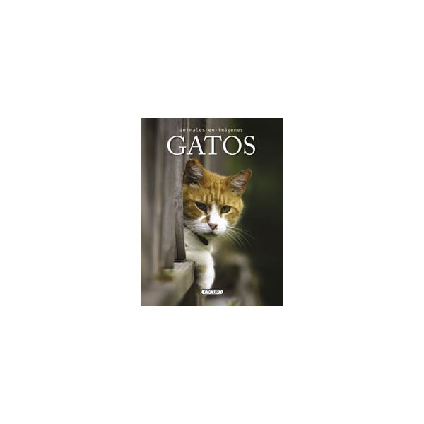 Gatos (Capa dura) 1