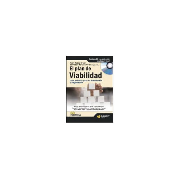 El Plan De Viabilidad 1