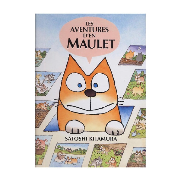 Imagen 0 de Les aventures d'en Maulet