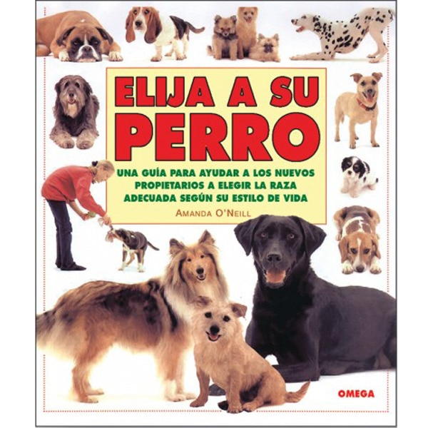 Elija A Su Perro 1