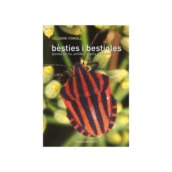 Imagen 0 de Bèsties i bestioles: (peixos de riu, amfibis, rèptils, insectes. ) (Tapa blanda)