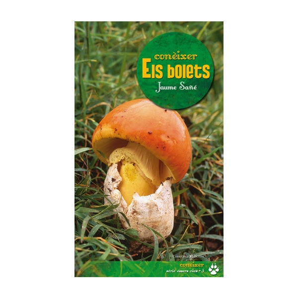 Conèixer els bolets(Tapa blanda) 1