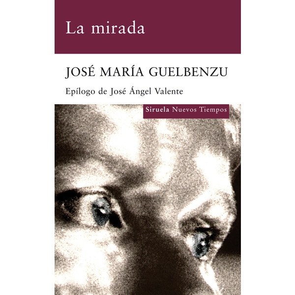 Imagen 0 de La mirada (Tapa blanda)