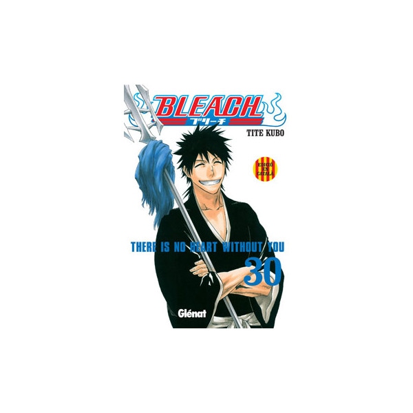 Bleach Nº30 1