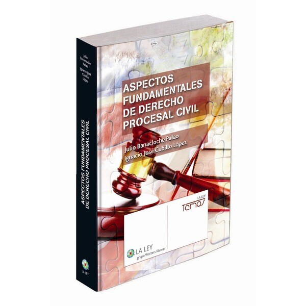 Aspectos fundamentales de Derecho procesal civil (Capa mole com abas) 1