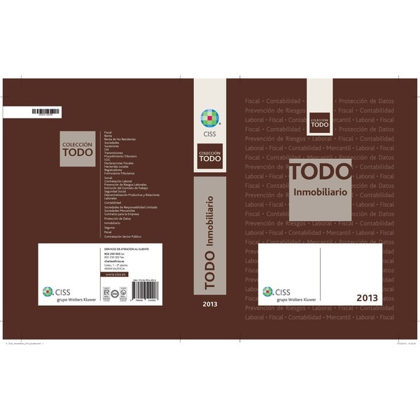 TODO Inmobiliario 2013 (Capa mole) 1