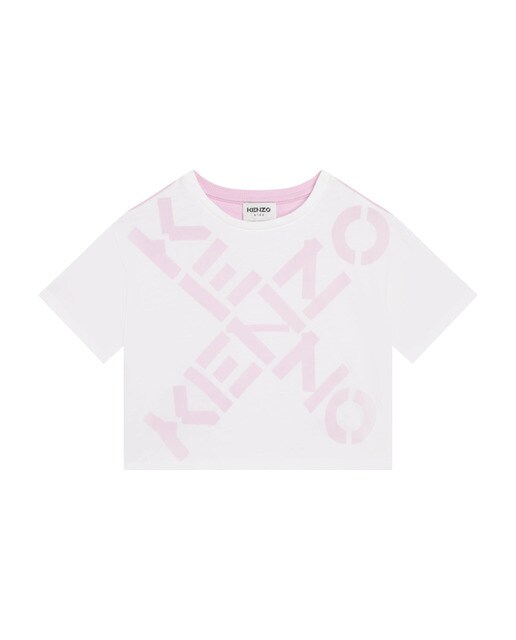 Cervo Na Floresta à Noite | Arte De Parede Com Fotografia De Animais