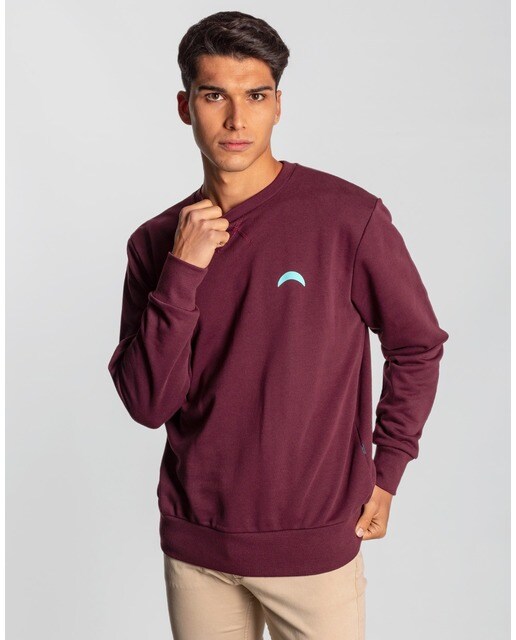 Sudadera de hombre en color morado con cuello redondo · Skydiver · El Corte  Inglés