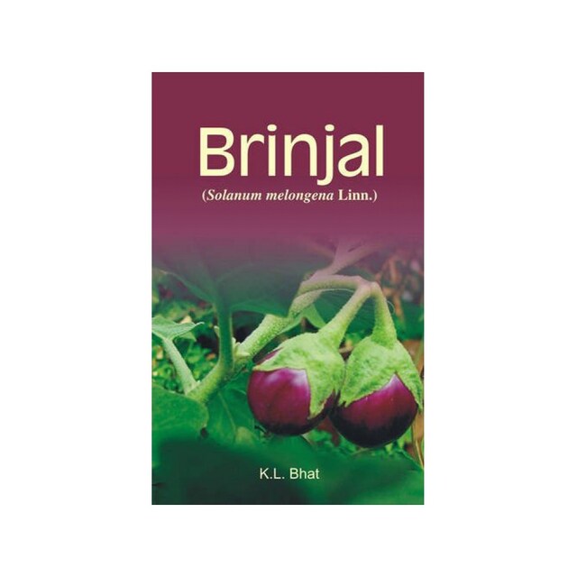 Imagen 0 de Brinjal