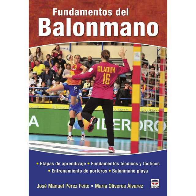 Imagen 0 de FUNDAMENTOS DEL BALONMANO