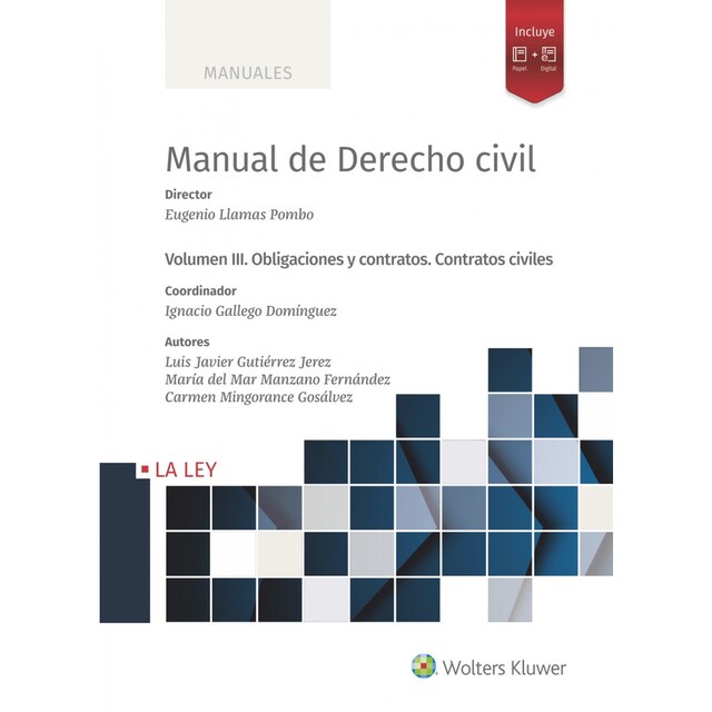 Imagen 0 de Manual de Derecho Civil