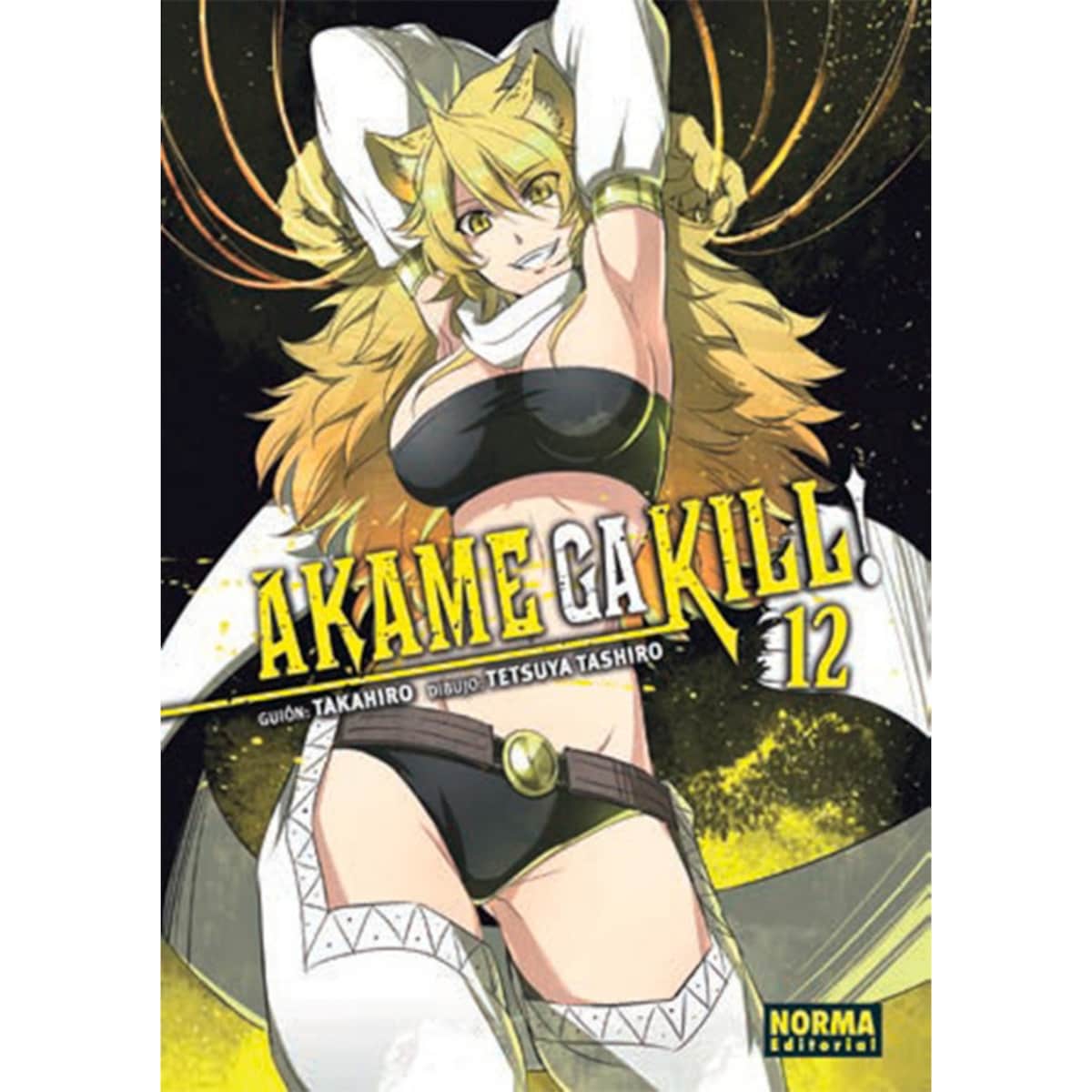 Akame ga kill! 12 (Tapa blanda) 1