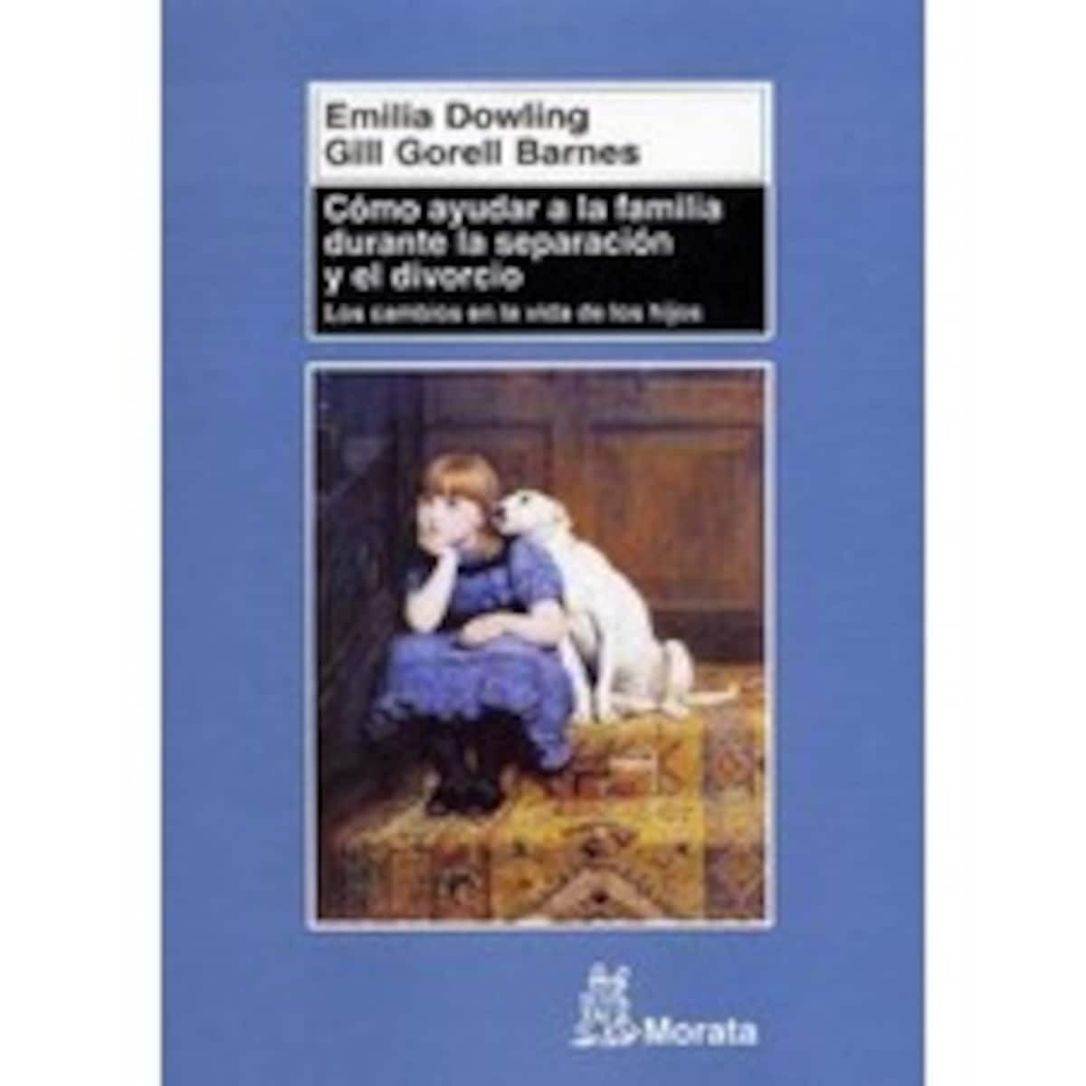 Cómo ayudar a la familia durante la separación y el divorcio: Los cambios en la vida de los hijos (Tapa blanda) 1