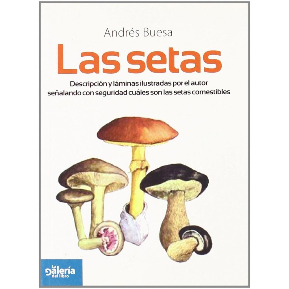 Las setas 1